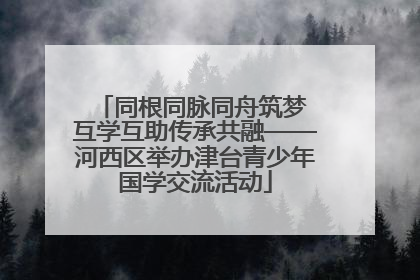 同根同脉同舟筑梦 互学互助传承共融——河西区举办津台青少年国学交流活动