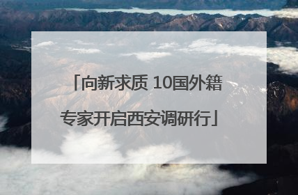 向新求质 10国外籍专家开启西安调研行
