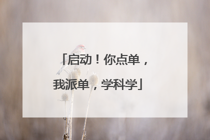 启动！你点单，我派单，学科学