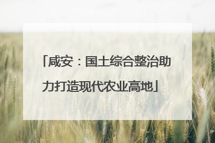 咸安：国土综合整治助力打造现代农业高地