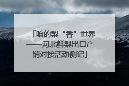 咱的梨“香”世界——河北鲜梨出口产销对接活动侧记