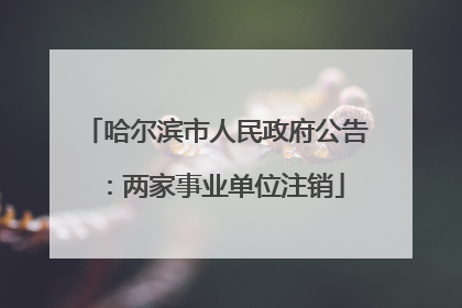 哈尔滨市人民政府公告：两家事业单位注销