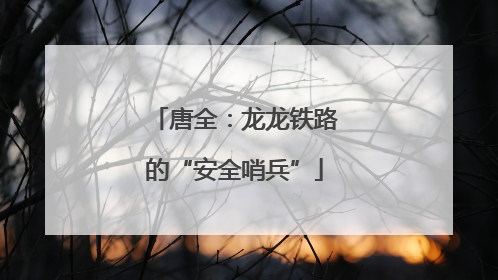 唐全：龙龙铁路的“安全哨兵”