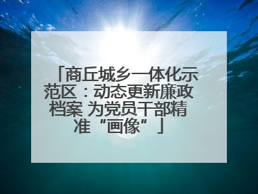 商丘城乡一体化示范区：动态更新廉政档案 为党员干部精准“画像”