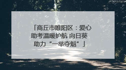 商丘市睢阳区：爱心助考温暖护航 向日葵助力“一举夺魁”