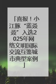 喜报！小江豚“蓝叒叒”入选2025年网络文明国际交流互鉴城市典型案例