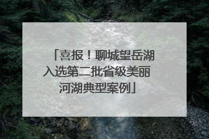 喜报！聊城望岳湖入选第二批省级美丽河湖典型案例