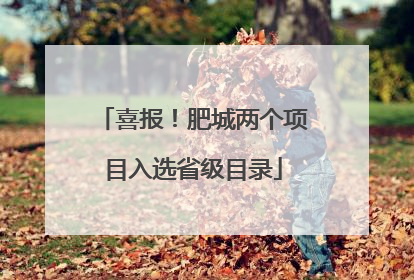 喜报！肥城两个项目入选省级目录