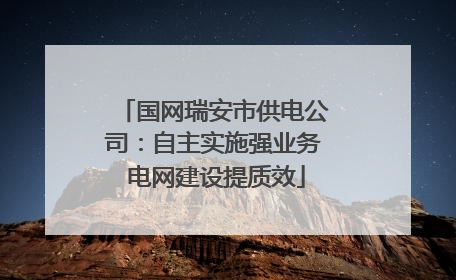 国网瑞安市供电公司：自主实施强业务 电网建设提质效