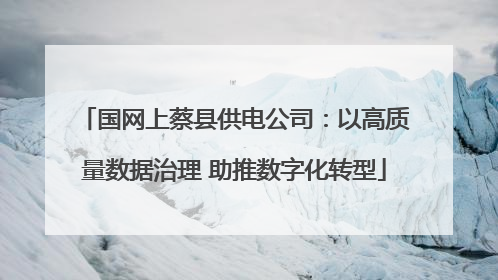 国网上蔡县供电公司：以高质量数据治理 助推数字化转型