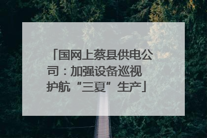 国网上蔡县供电公司：加强设备巡视 护航“三夏”生产