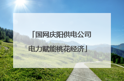 国网庆阳供电公司电力赋能桃花经济