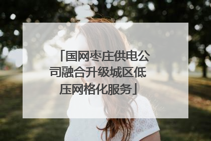 国网枣庄供电公司融合升级城区低压网格化服务
