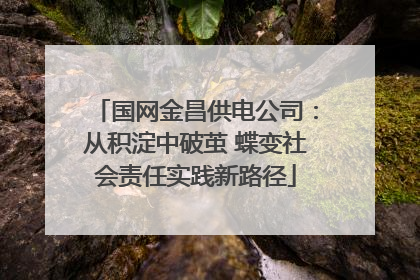 国网金昌供电公司：从积淀中破茧 蝶变社会责任实践新路径