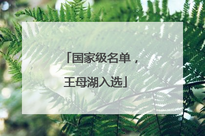 国家级名单，王母湖入选
