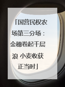 国营民权农场第三分场：金穗卷起千层浪 小麦收获正当时