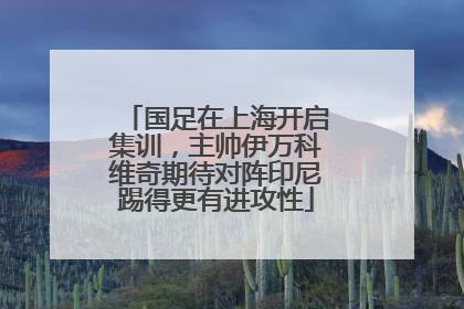 国足在上海开启集训，主帅伊万科维奇期待对阵印尼踢得更有进攻性