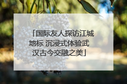 国际友人探访江城地标 沉浸式体验武汉古今交融之美