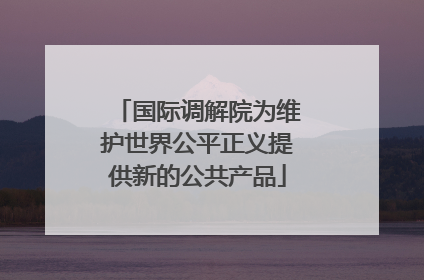 国际调解院为维护世界公平正义提供新的公共产品