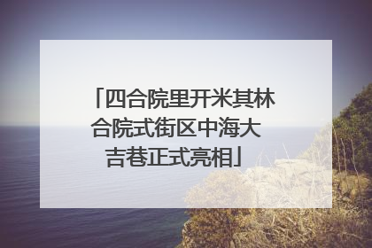 四合院里开米其林 合院式街区中海大吉巷正式亮相