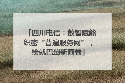 四川电信：数智赋能织密“普遍服务网”，绘就巴蜀新画卷