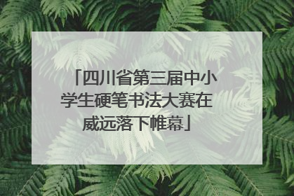 四川省第三届中小学生硬笔书法大赛在威远落下帷幕