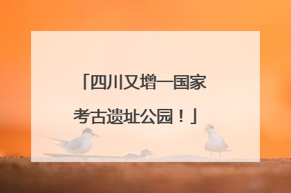 四川又增一国家考古遗址公园！