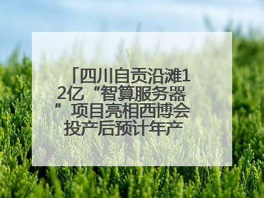 四川自贡沿滩12亿“智算服务器”项目亮相西博会 投产后预计年产值达15亿元