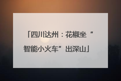 四川达州：花椒坐“智能小火车”出深山