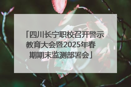 四川长宁职校召开警示教育大会暨2025年春期期末监测部署会