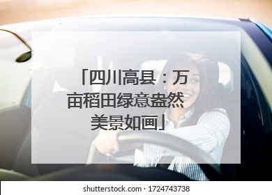四川高县：万亩稻田绿意盎然 美景如画