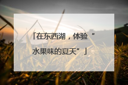 在东西湖，体验“水果味的夏天”