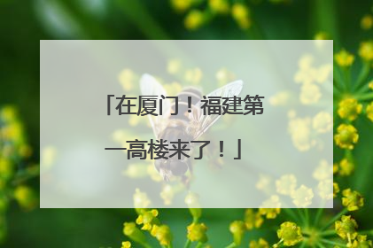 在厦门！福建第一高楼来了！
