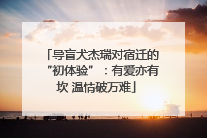 导盲犬杰瑞对宿迁的“初体验”：有爱亦有坎 温情破万难