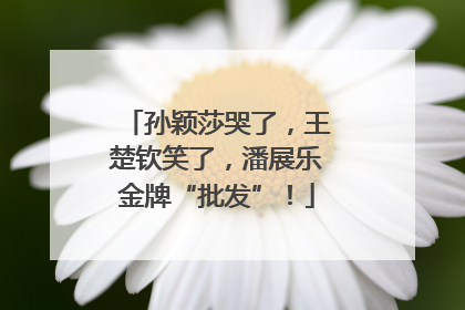 孙颖莎哭了，王楚钦笑了，潘展乐金牌“批发”！