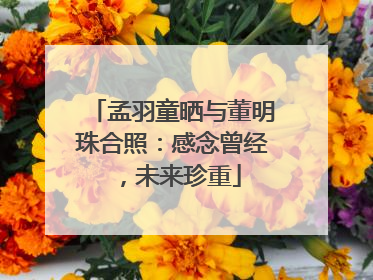 孟羽童晒与董明珠合照：感念曾经，未来珍重