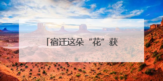 宿迁这朵“花”获央媒、省媒点赞！