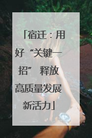 宿迁：用好“关键一招” 释放高质量发展新活力