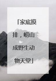 家底摸排，崂山成野生动物天堂