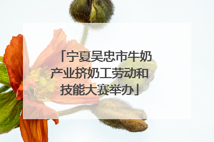 宁夏吴忠市牛奶产业挤奶工劳动和技能大赛举办