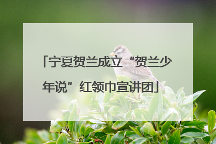 宁夏贺兰成立“贺兰少年说”红领巾宣讲团