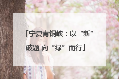 宁夏青铜峡：以“新”破题 向“绿”而行