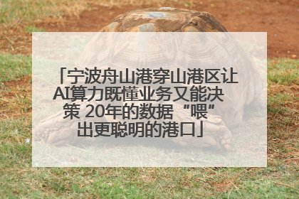 宁波舟山港穿山港区让AI算力既懂业务又能决策 20年的数据“喂”出更聪明的港口