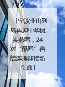 宁波韭山列岛再迎中华凤头燕鸥，24对“酷鸥”喜结连理迎接新生命