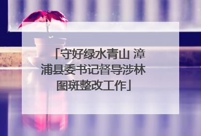 守好绿水青山 漳浦县委书记督导涉林图斑整改工作