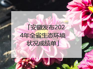 安徽发布2024年全省生态环境状况成绩单