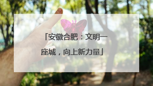 安徽合肥：文明一座城，向上新力量