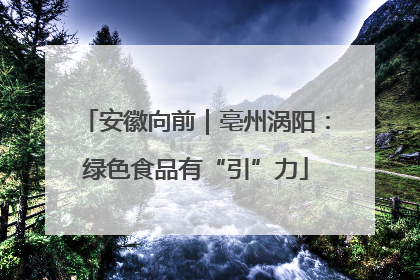 安徽向前｜亳州涡阳：绿色食品有“引”力