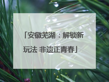 安徽芜湖：解锁新玩法 非遗正青春