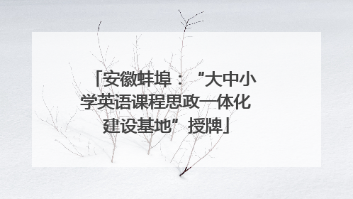 安徽蚌埠：“大中小学英语课程思政一体化建设基地”授牌